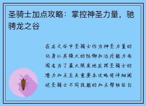 圣骑士加点攻略:掌控神圣力量,驰骋龙之谷