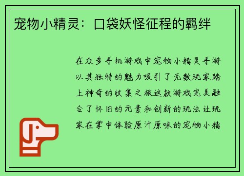 宠物小精灵:口袋妖怪征程的羁绊