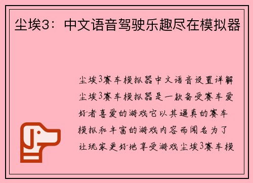 尘埃3：中文语音驾驶乐趣尽在模拟器